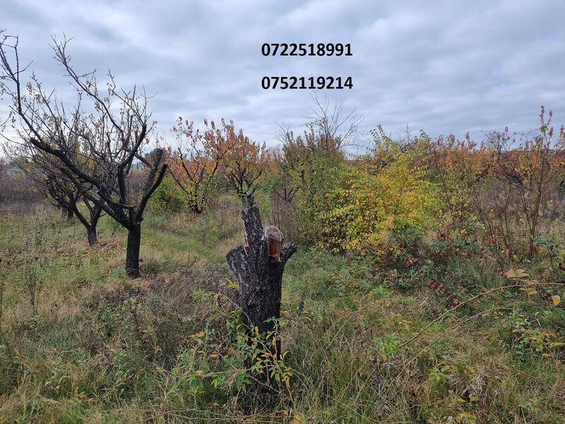 Baneasa, oportunitate, teren intravilan, aeroport.