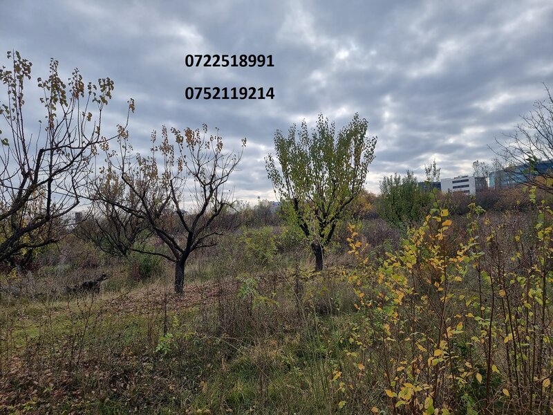 Baneasa, oportunitate, teren intravilan, aeroport.