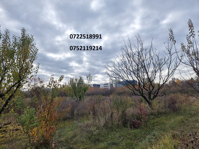 Baneasa, oportunitate, teren intravilan, aeroport.